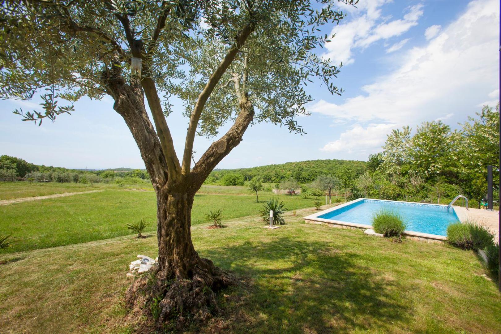 Villa Mugeba Club — Foto 6